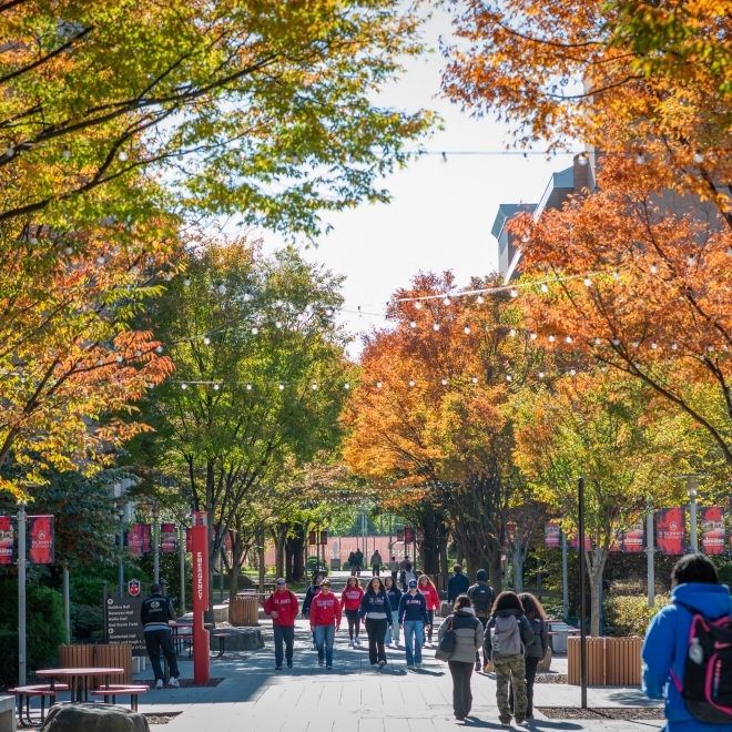 St. John's University Campus in Queens, New York City in the Fall