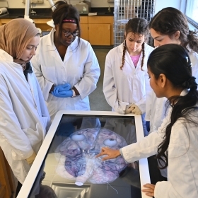 Group of St. John's University student researchers