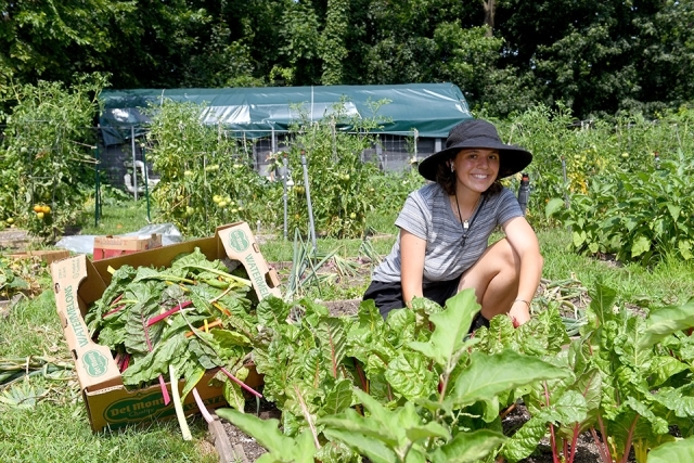 Student working in the St. John's University organic garden
