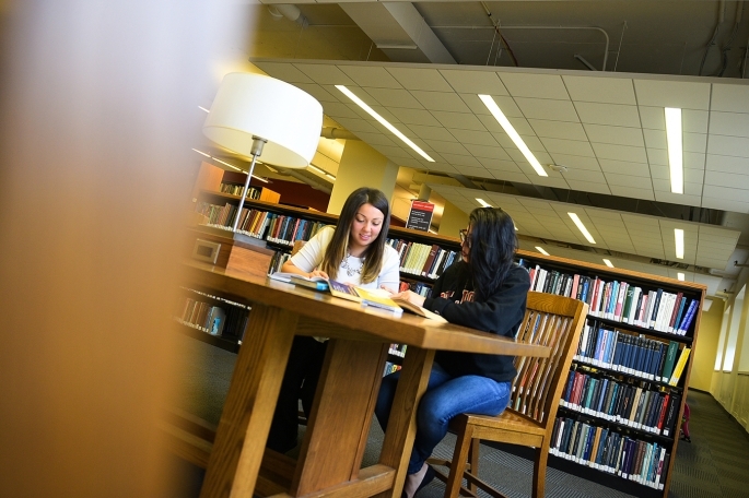 Students Studying in Library